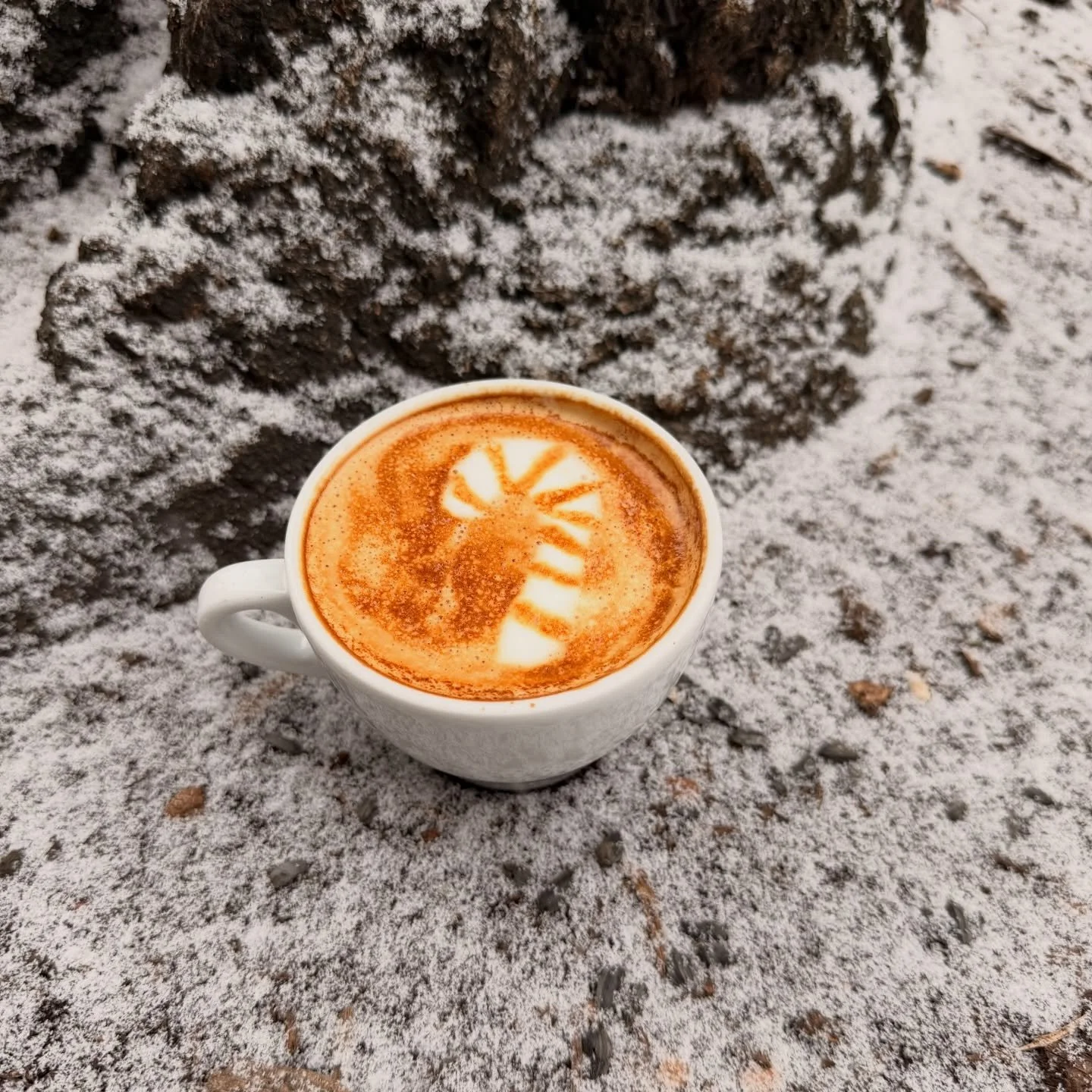 Peppermint White Mocha. Like a candy cane in a cup. 
_
#alabastercoffee #williamsport #coffee