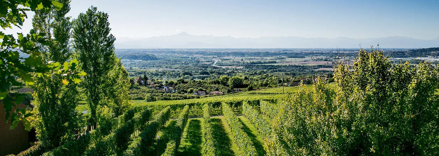 bosio-estate.jpg