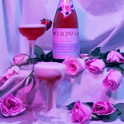 GIF / PHOTOGRAPHY - GIPHY - THE 1975
