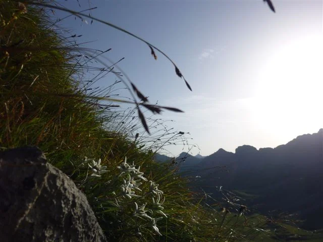 impressionen_sommer_3.jpg