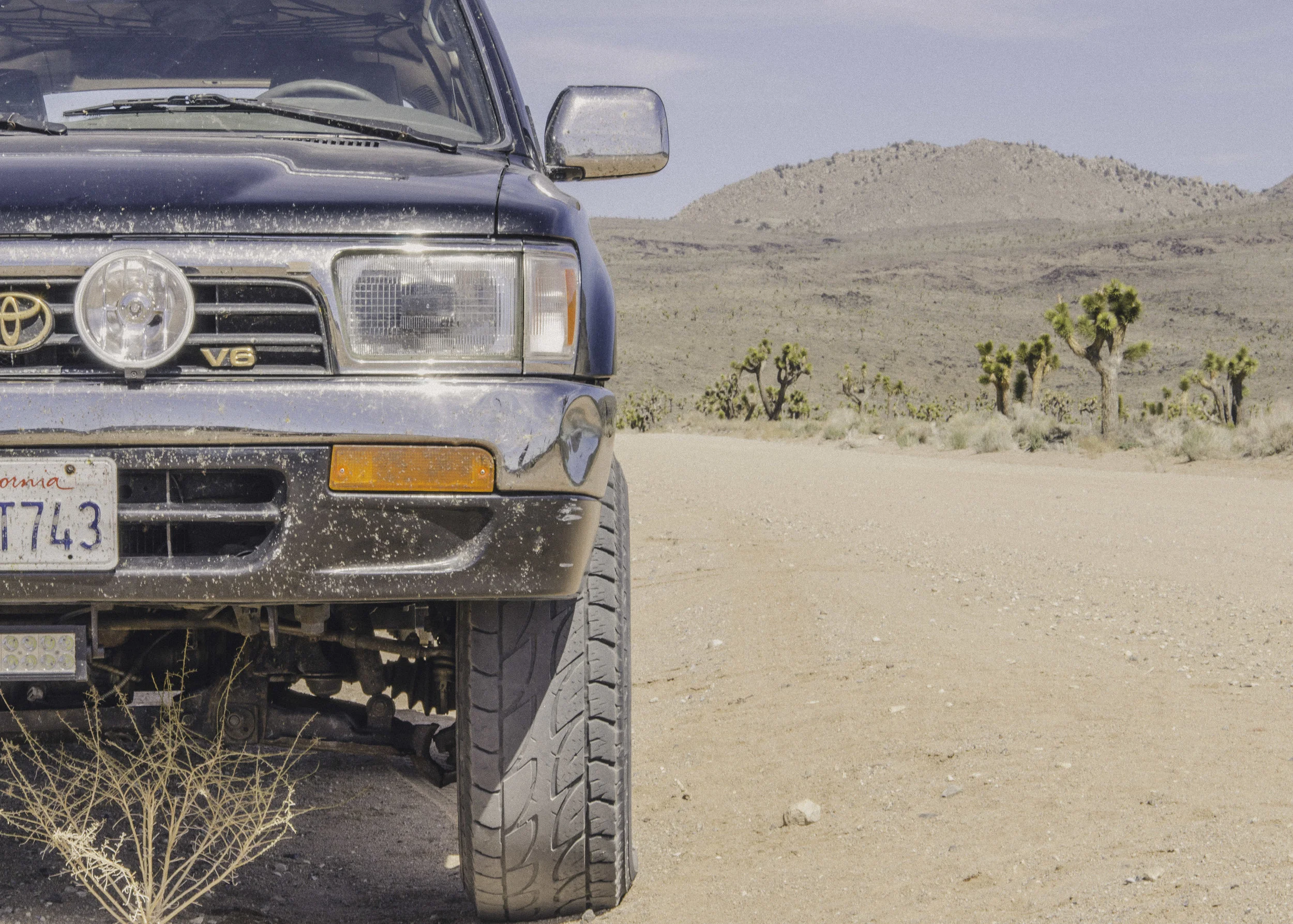 20150308-_DEN5990.jpg