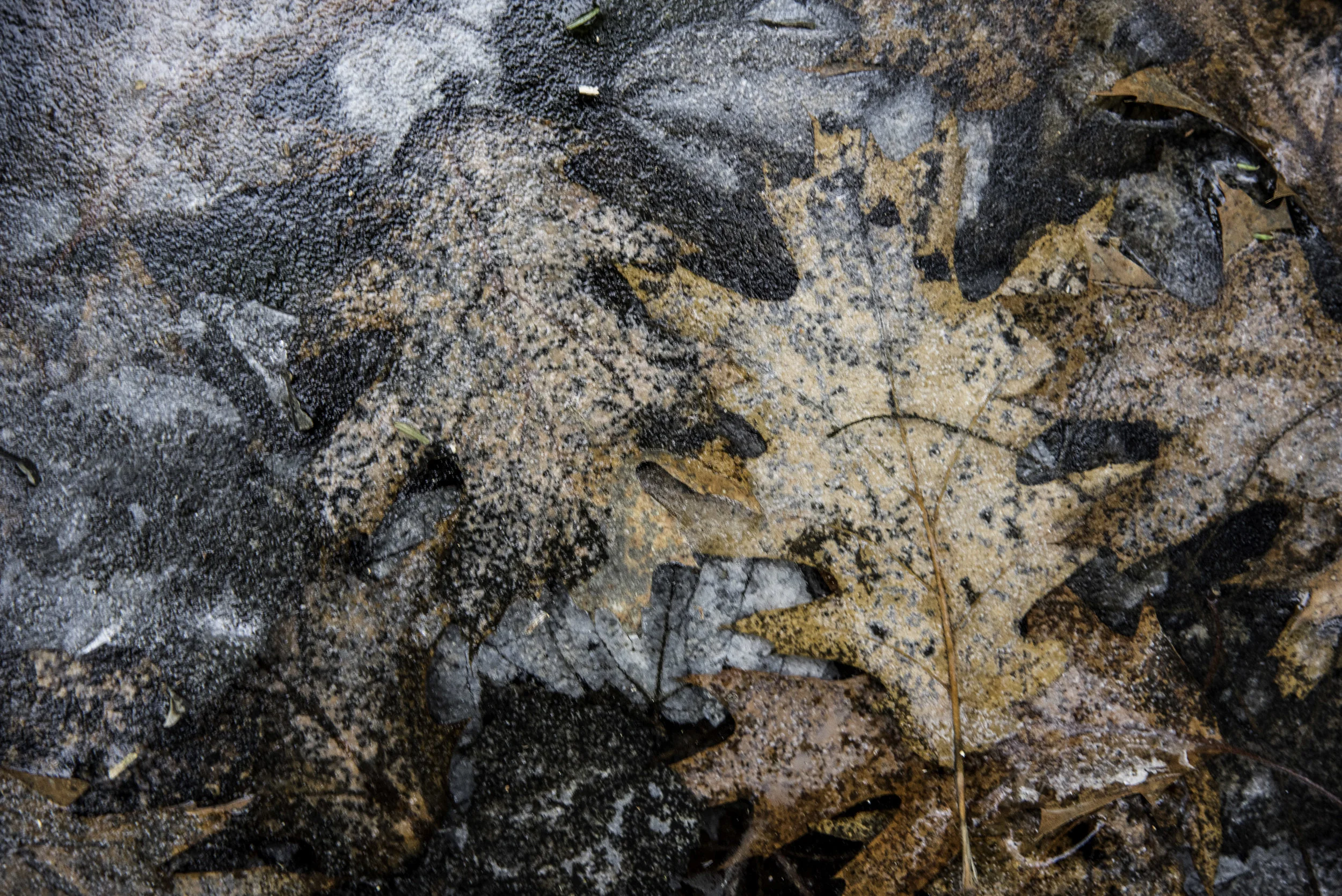 20190119-_DSC0587.jpg