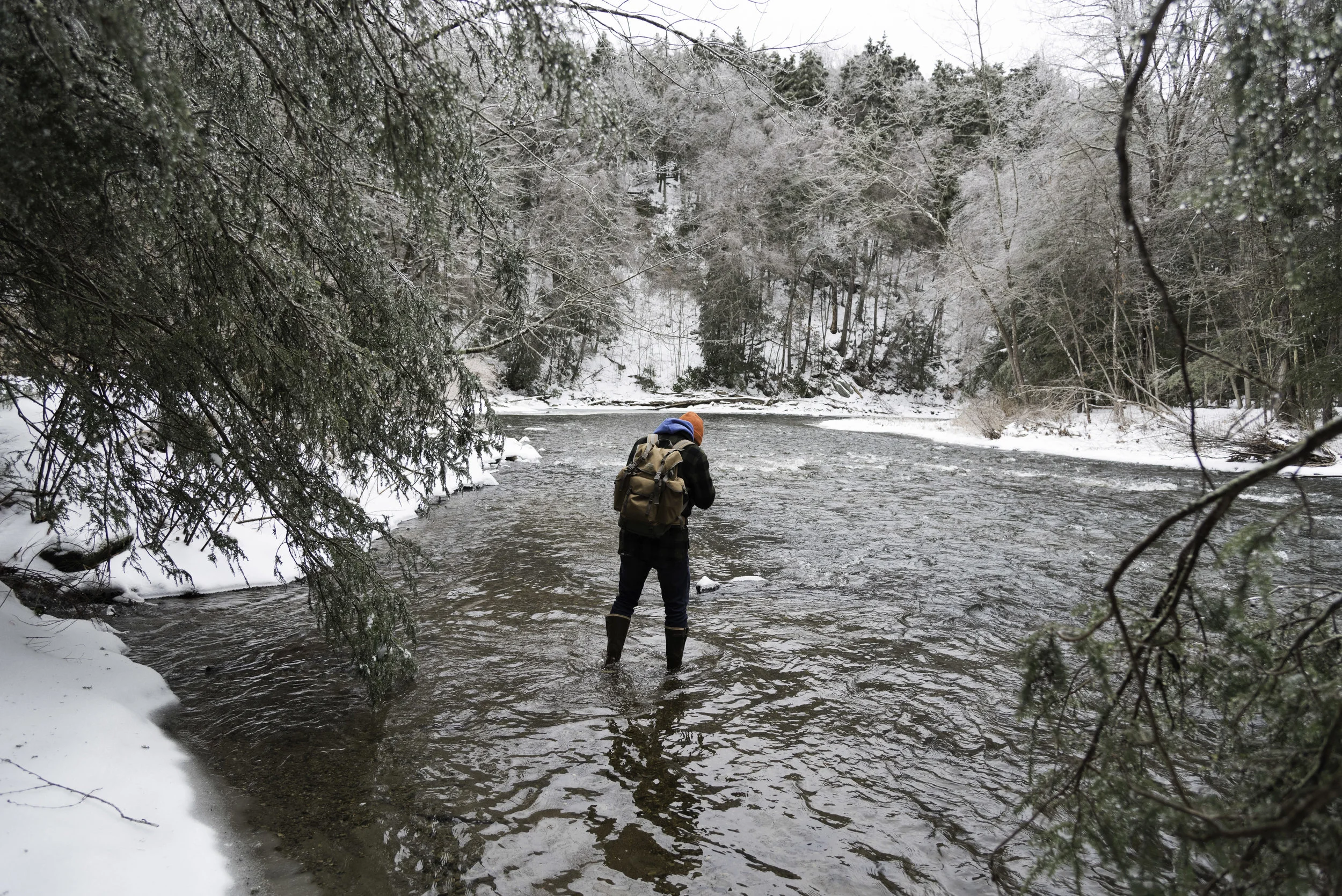 20190120-_DSC0641.jpg