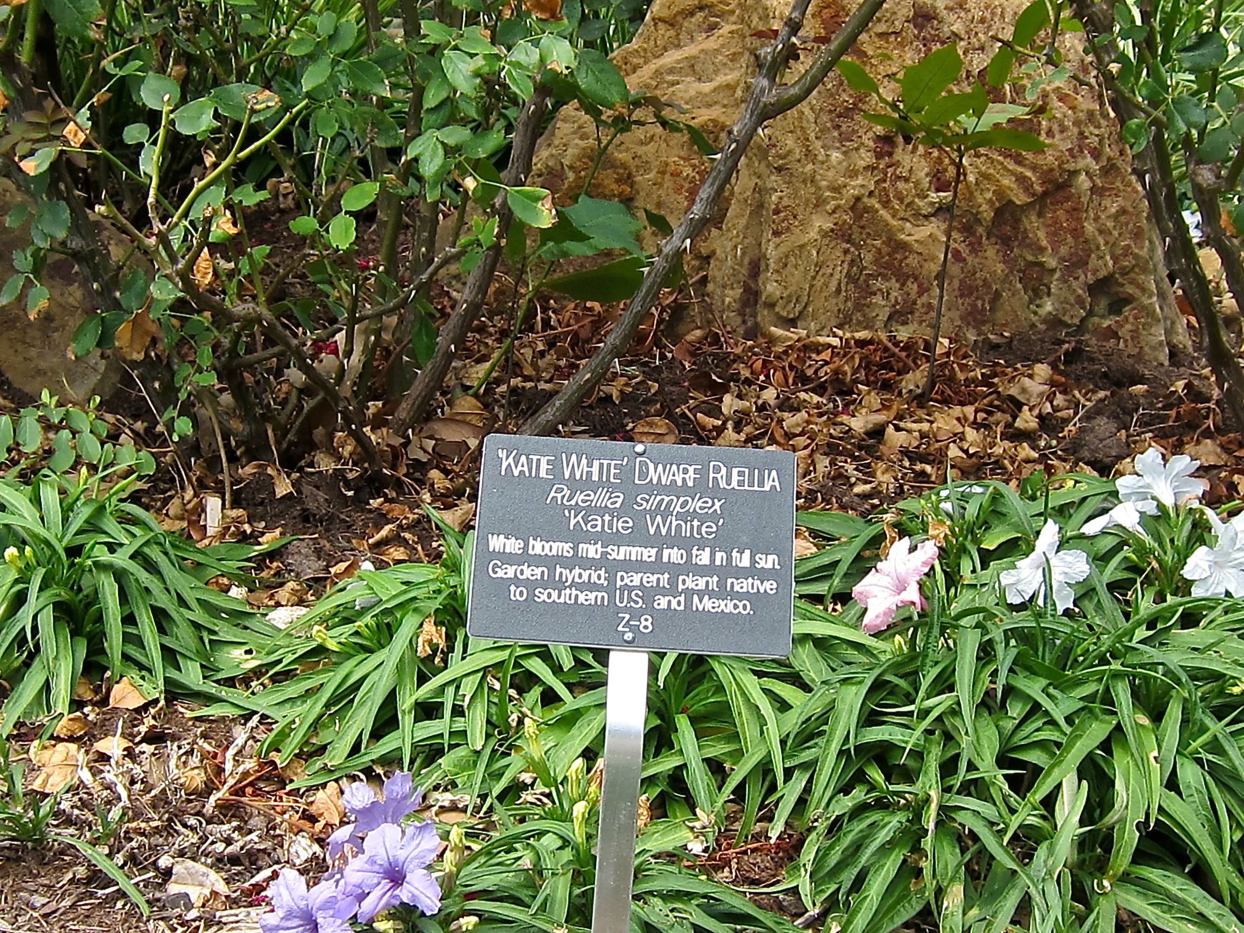 Garden Signs added in 2014