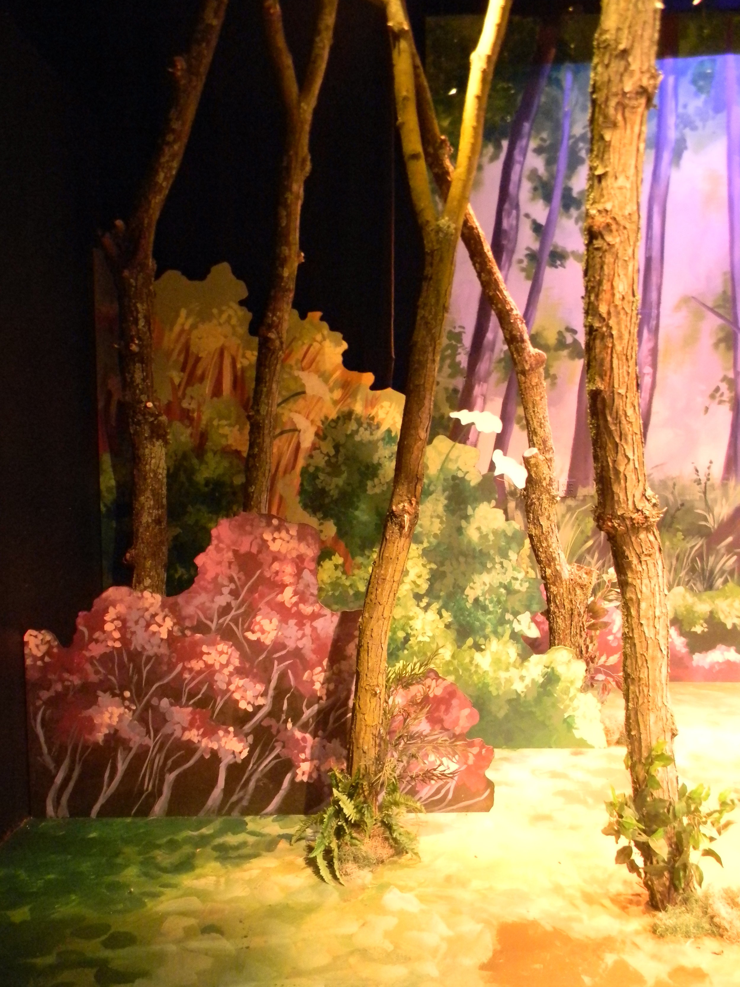  "The Adventures of Robin Hood" - Scenic Artist - B Street Theatre - Sacramento, CA - 2016 