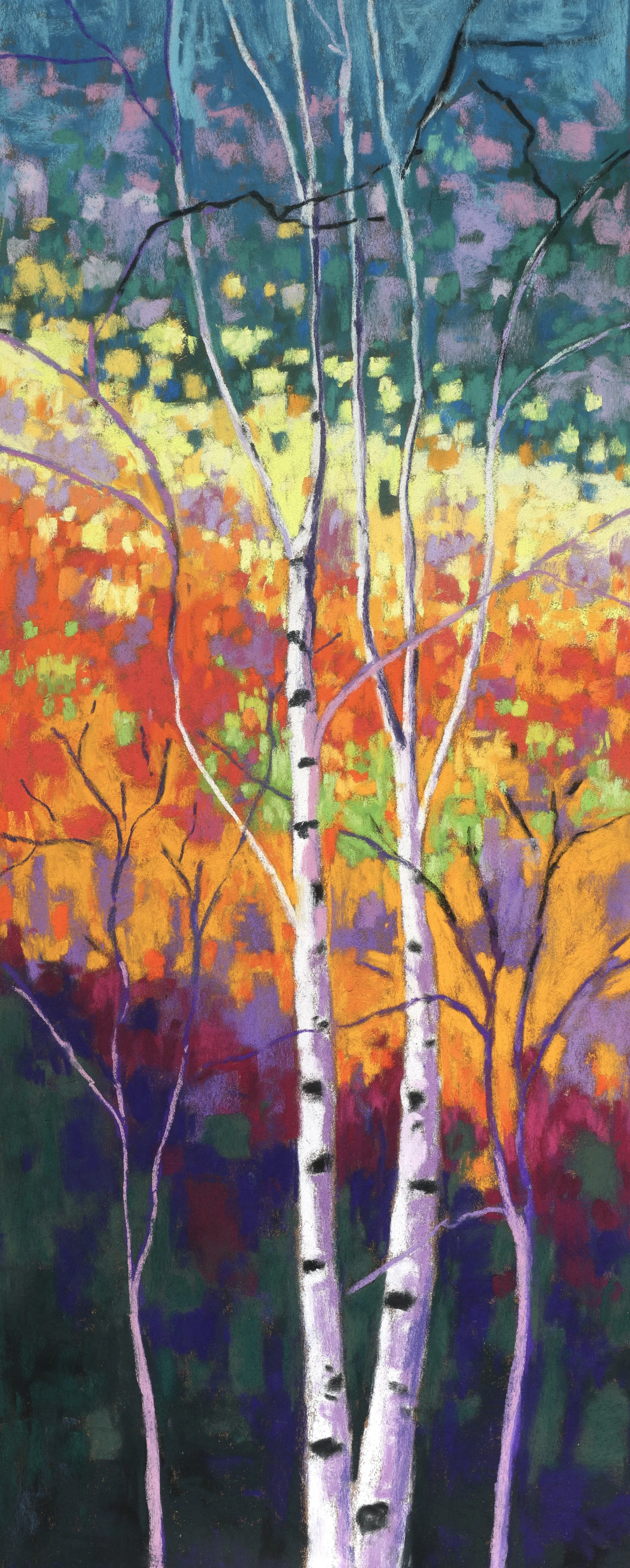 Mountain Side Birches