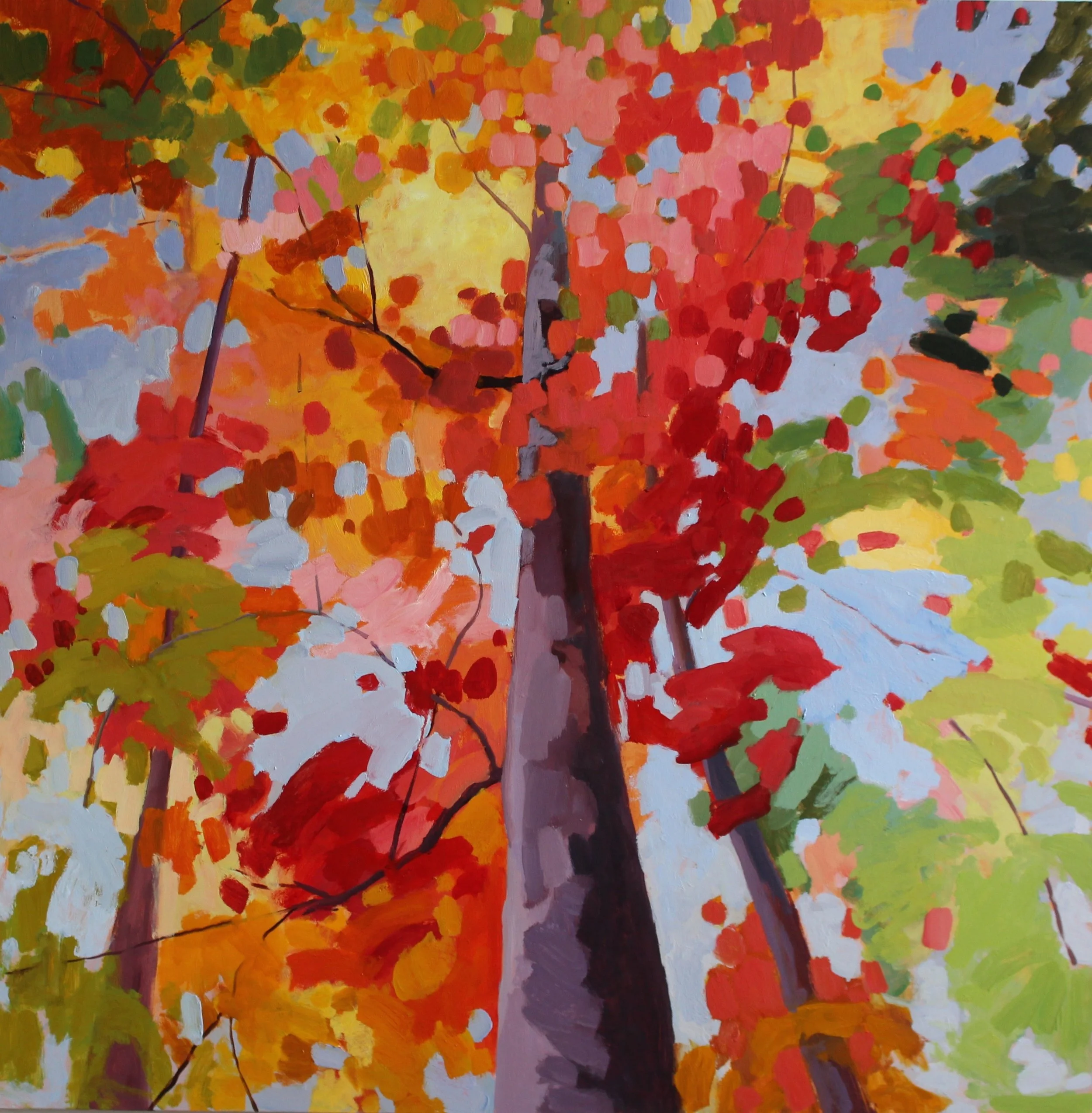 Forest Medley II