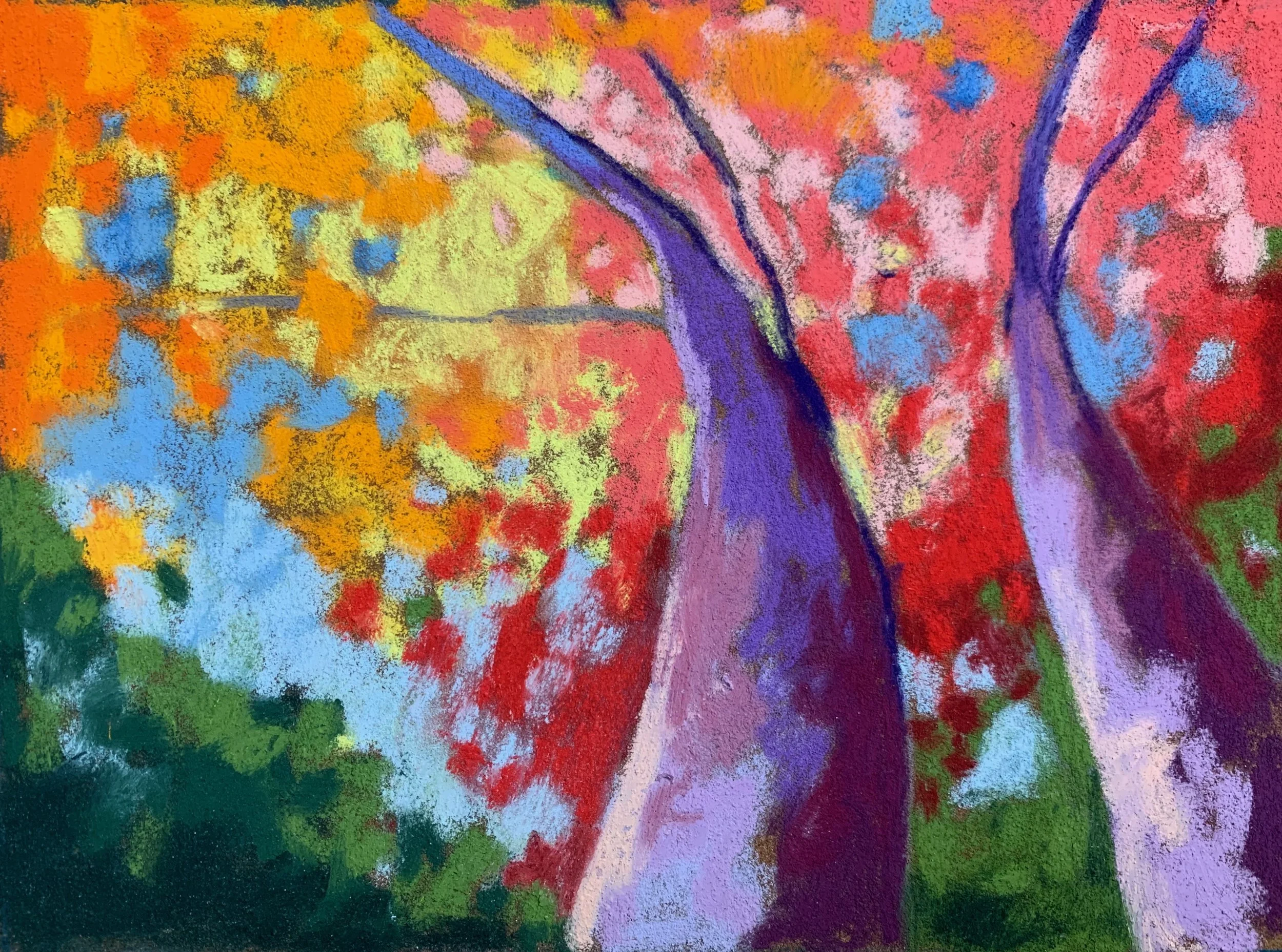 Dance with Me in the Canopy
