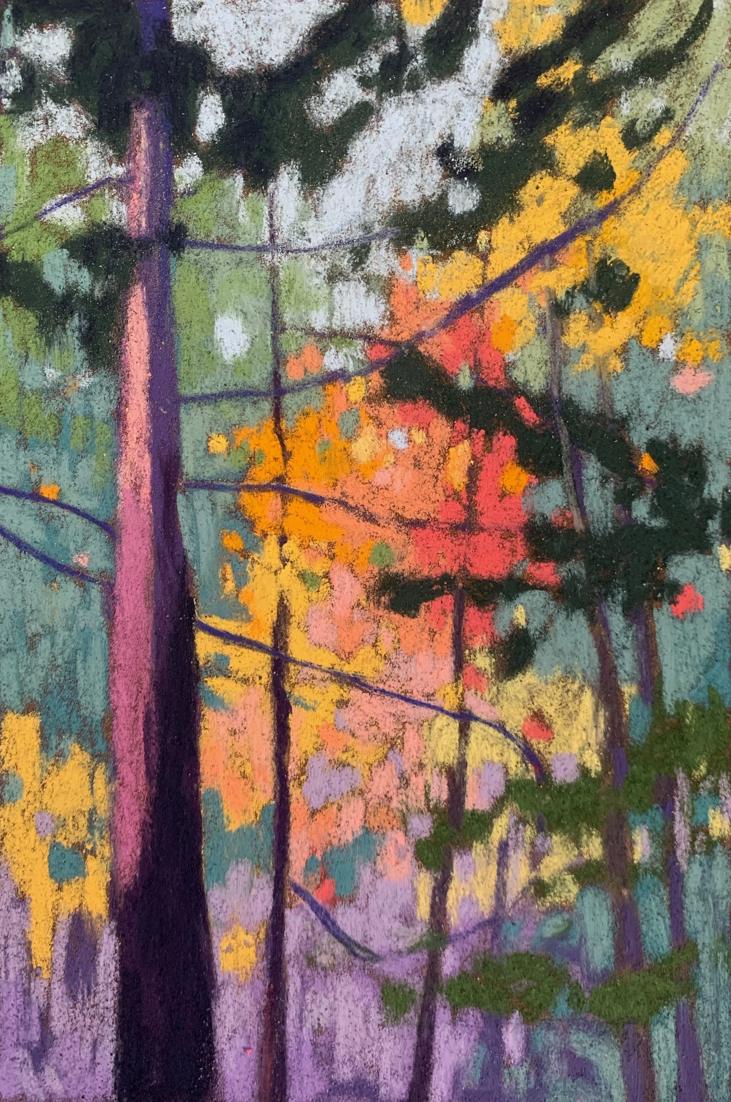 Forest Contemplation