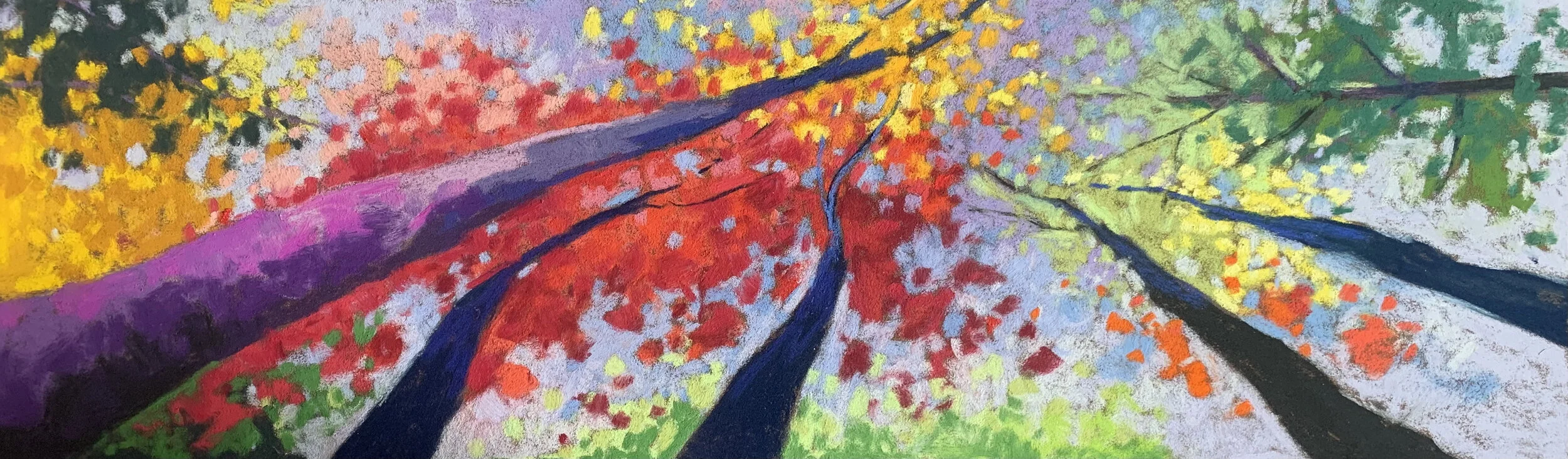 Forest Floor Dreaming