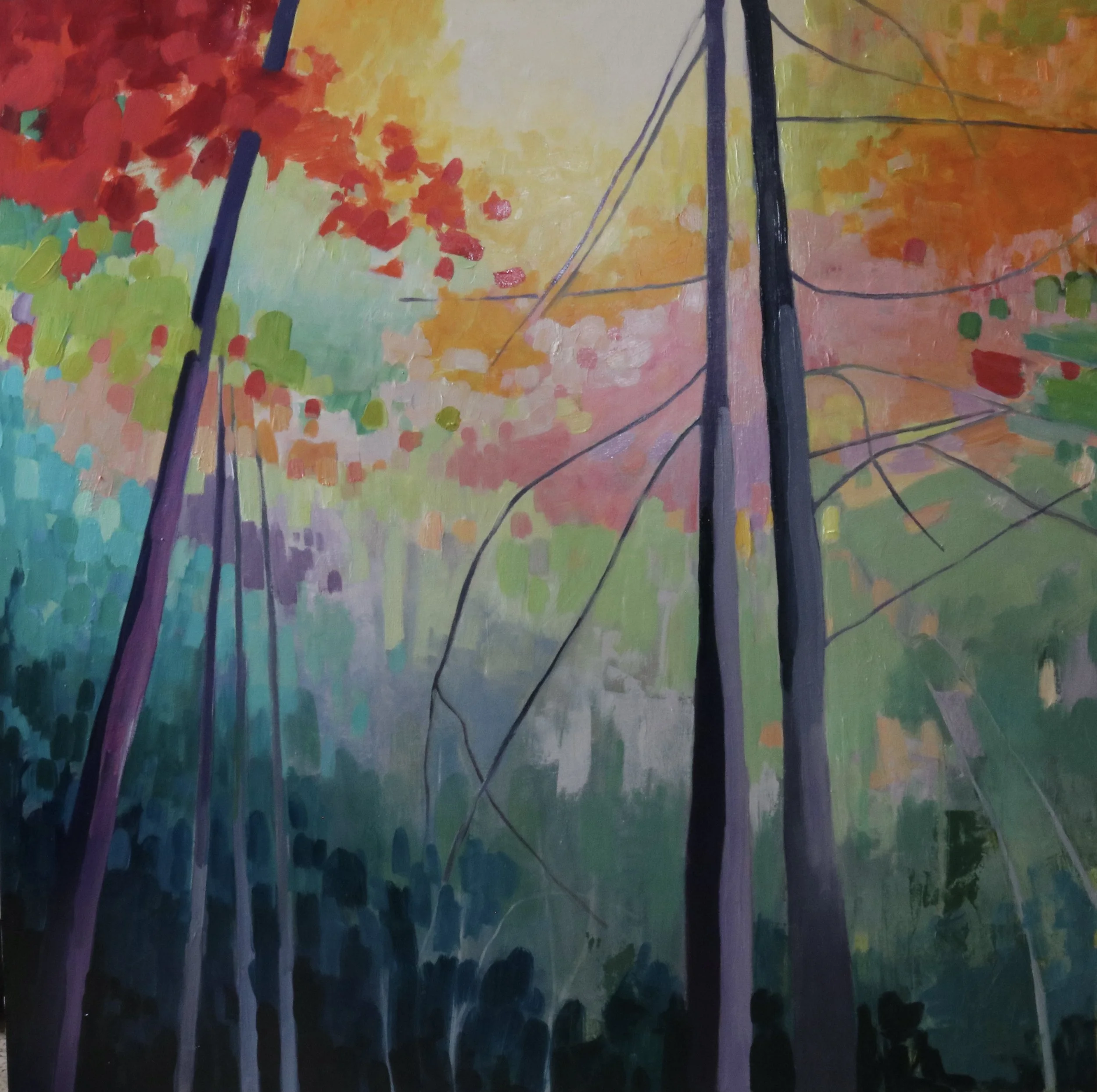 Let the Forest Wash Over You