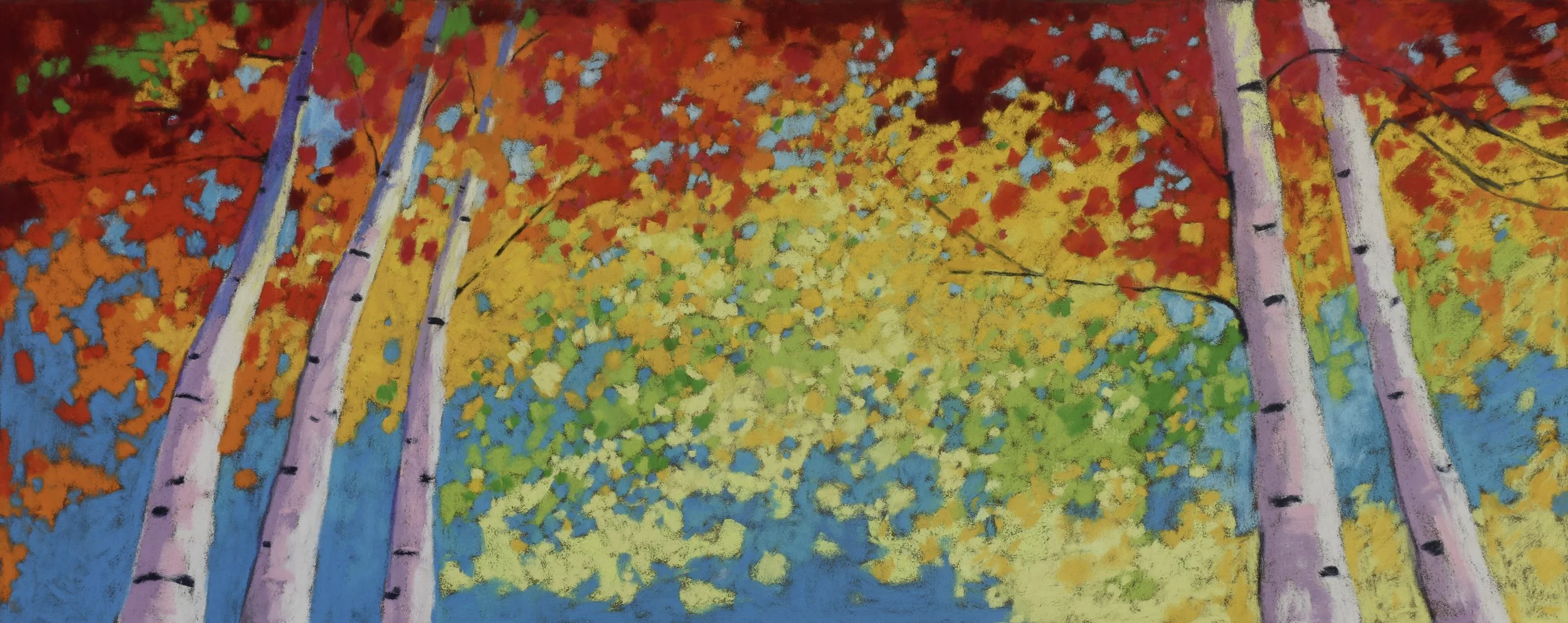 Into the Birch Canopy