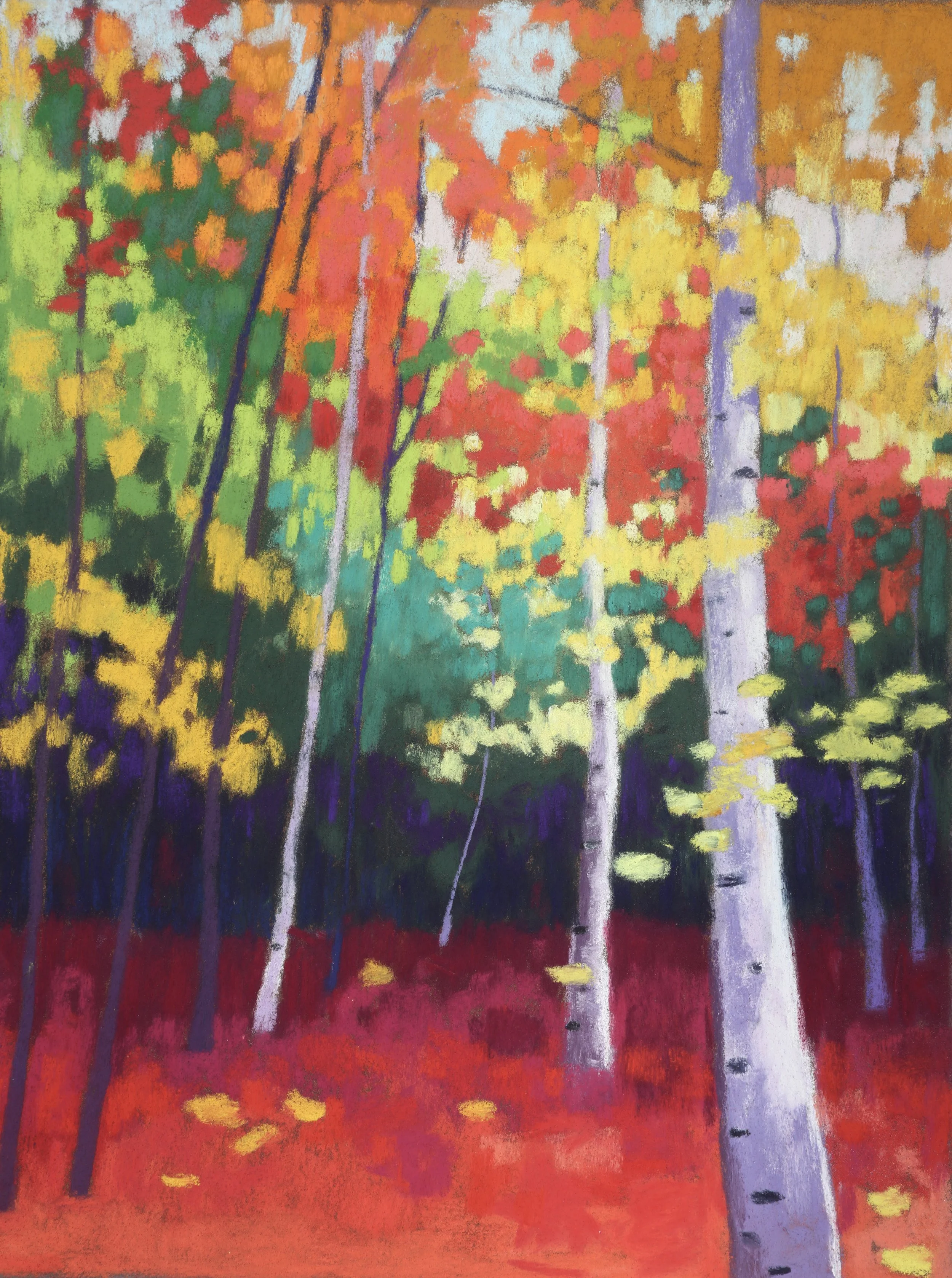 Birch Forest