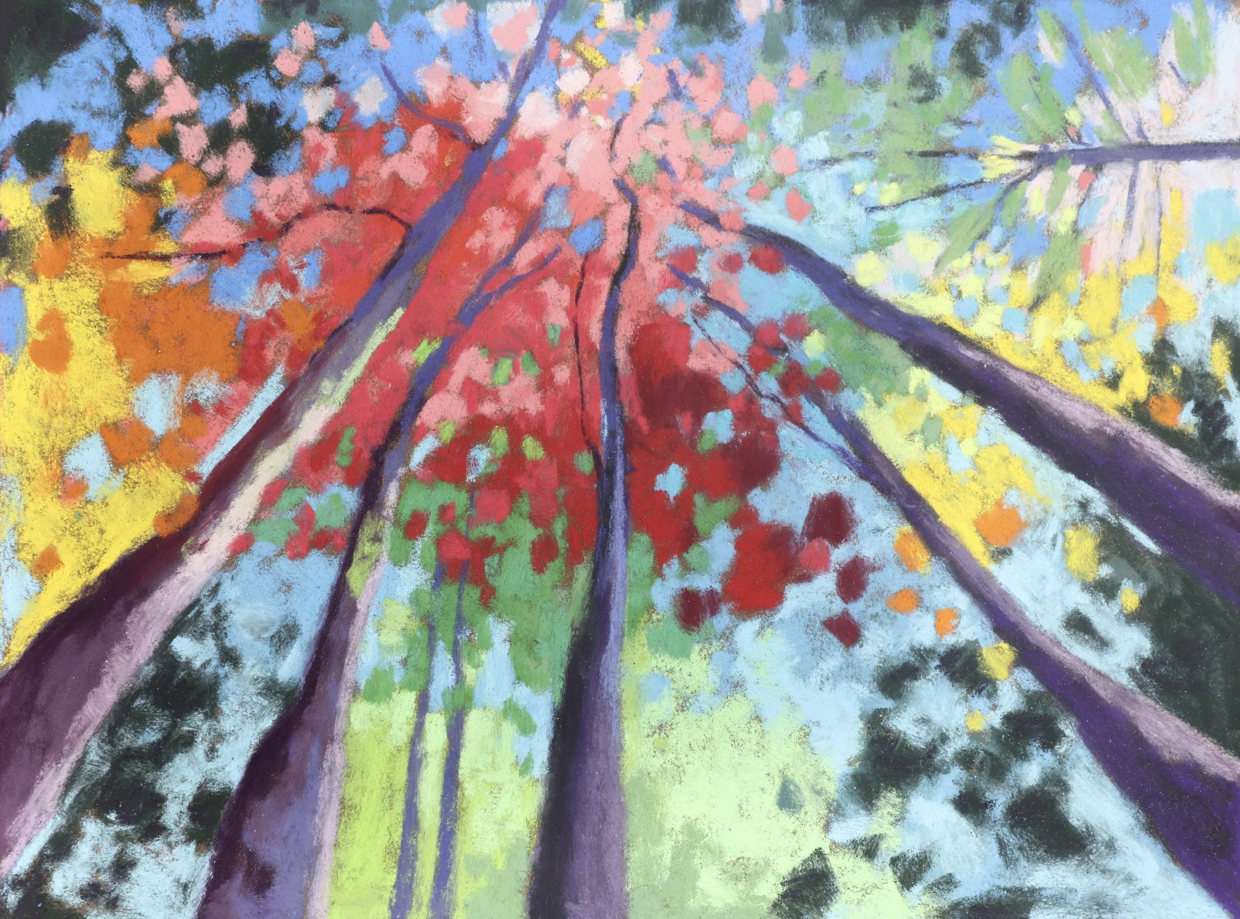 Stamford Art Festival