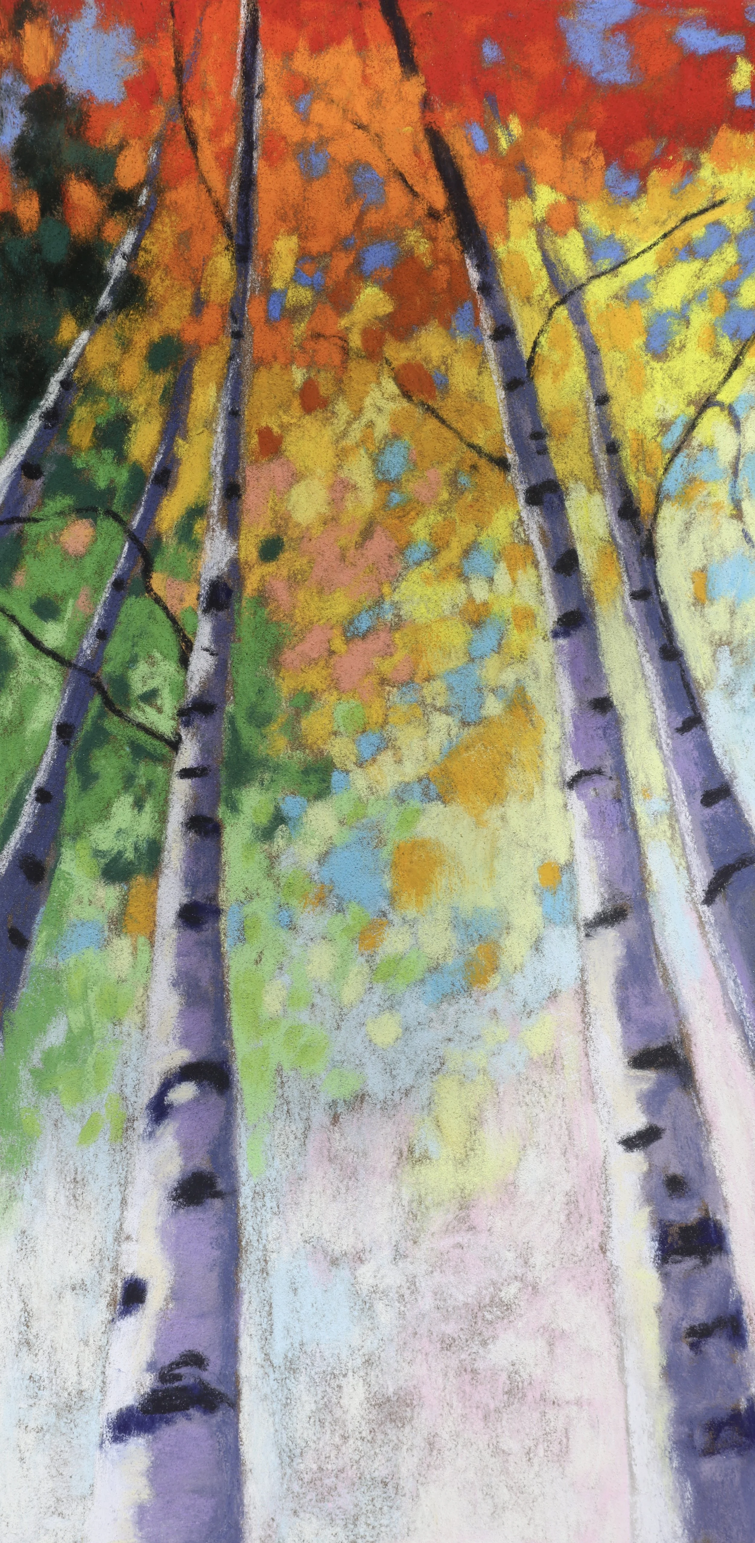 Birches Soaring II
