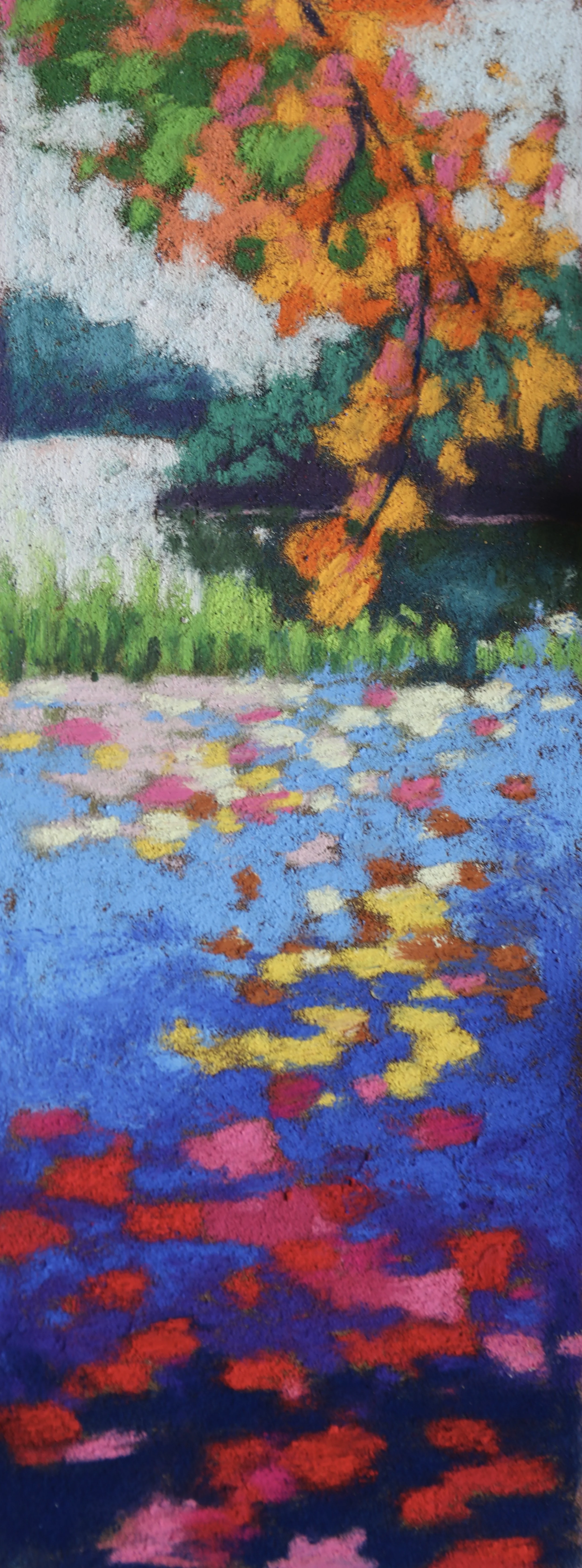 Dappled Leaves on Water