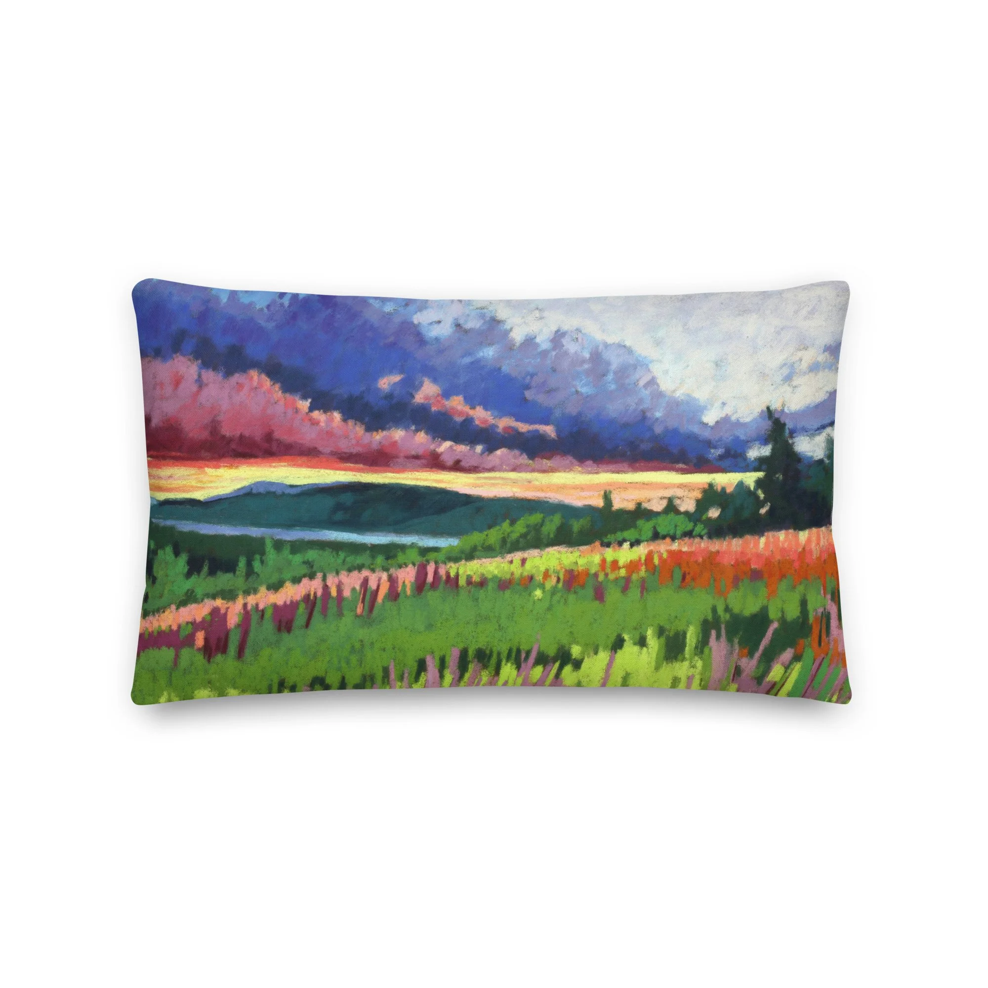 all-over-print-premium-pillow-20x12-front-68b0400351df0 (1).jpg
