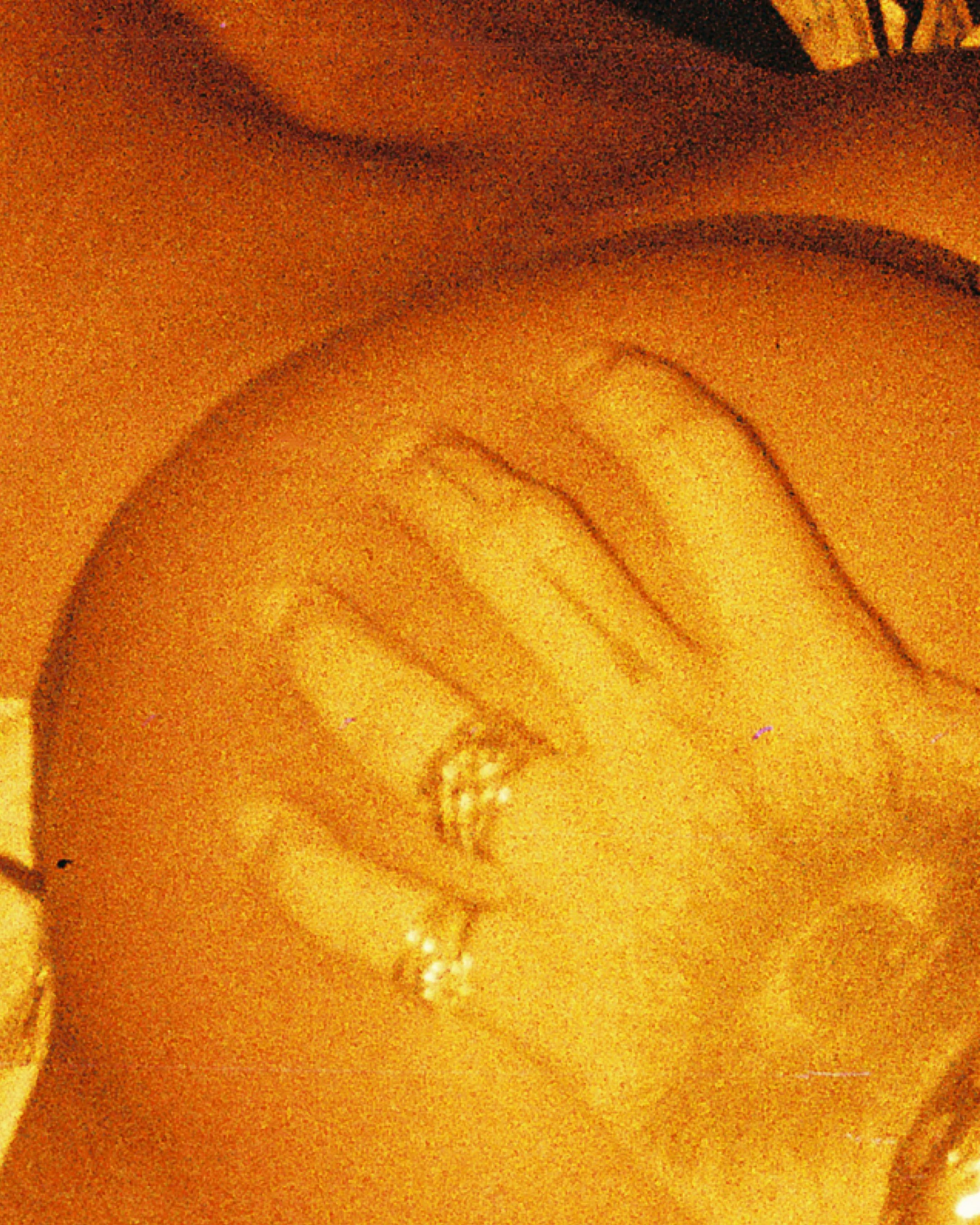 JPEG image-45D5-A386-48-13.JPEG