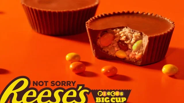 MP4__REESES_DECISIONS_DECISIONS_15_Stereo_Mix