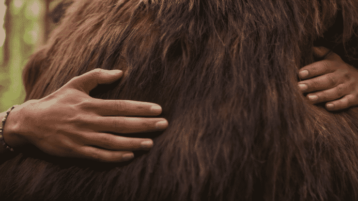 KMC Bear Hug-high.gif