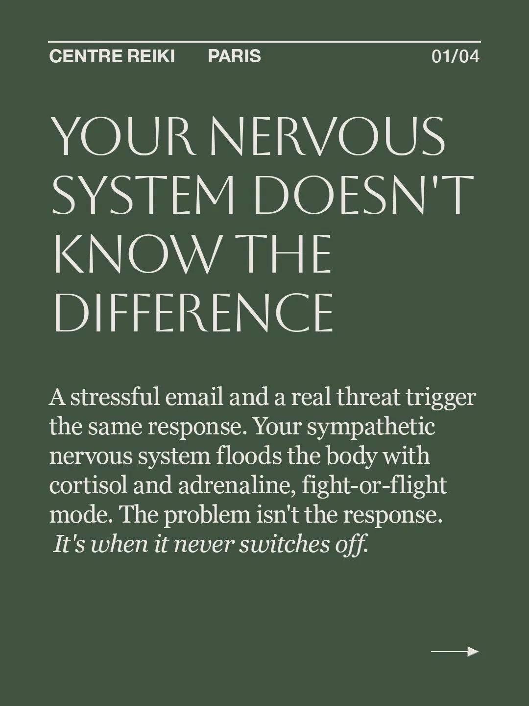 Reiki works with the nervous system, not against it. Sessions are built to help the body shift out of fight-or-flight and into a state where it can actually recover.

Le Reiki accompagne, ne remplace pas un suivi m&eacute;dical.

📍 Centre Reiki, 58 