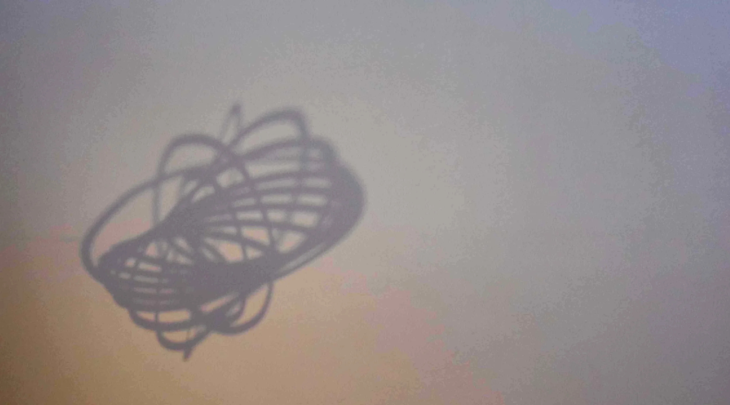 Foto di Claudia Tognaccini