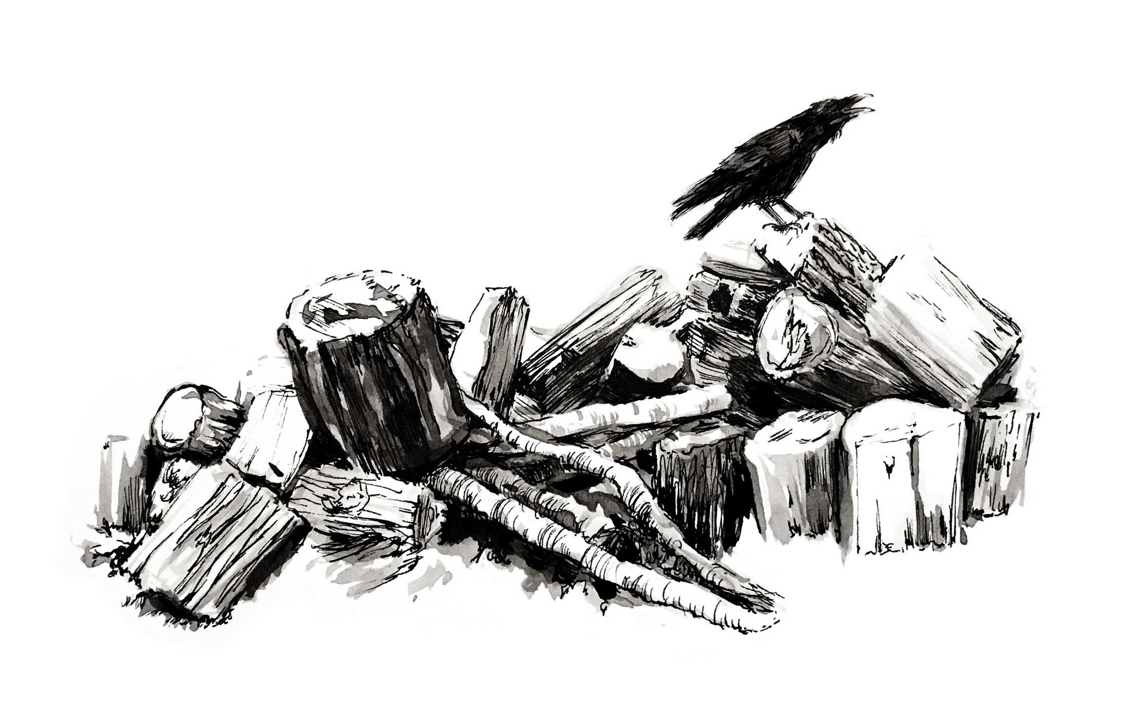 woodpile-crow-BW.jpg