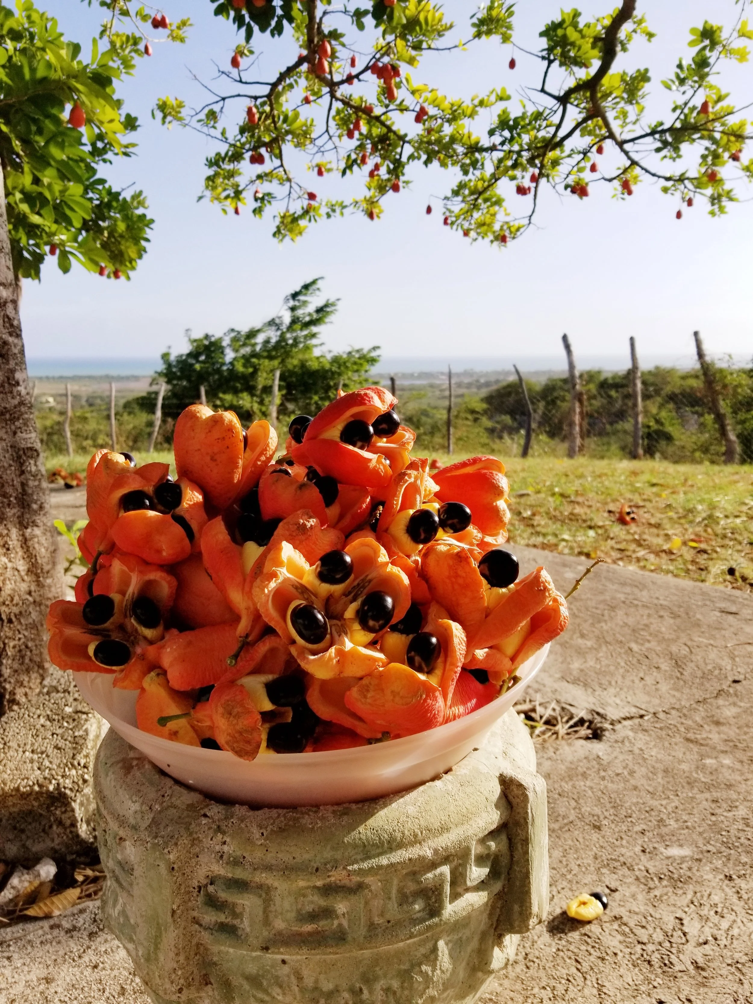 20180717_165540.jpg