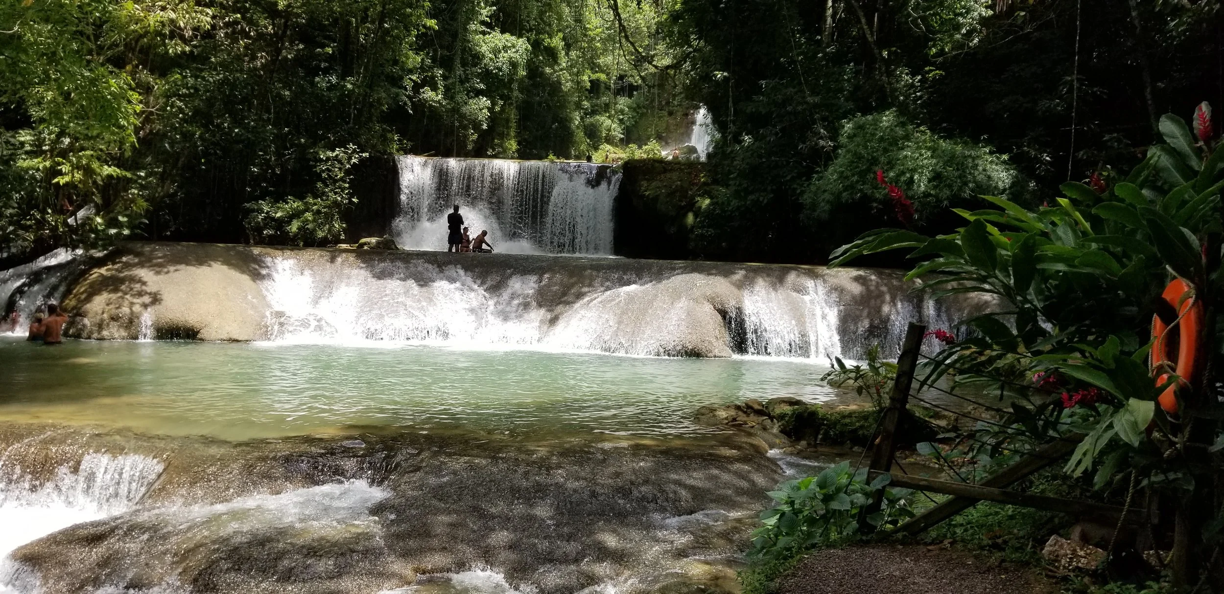 20180719_113106.jpg