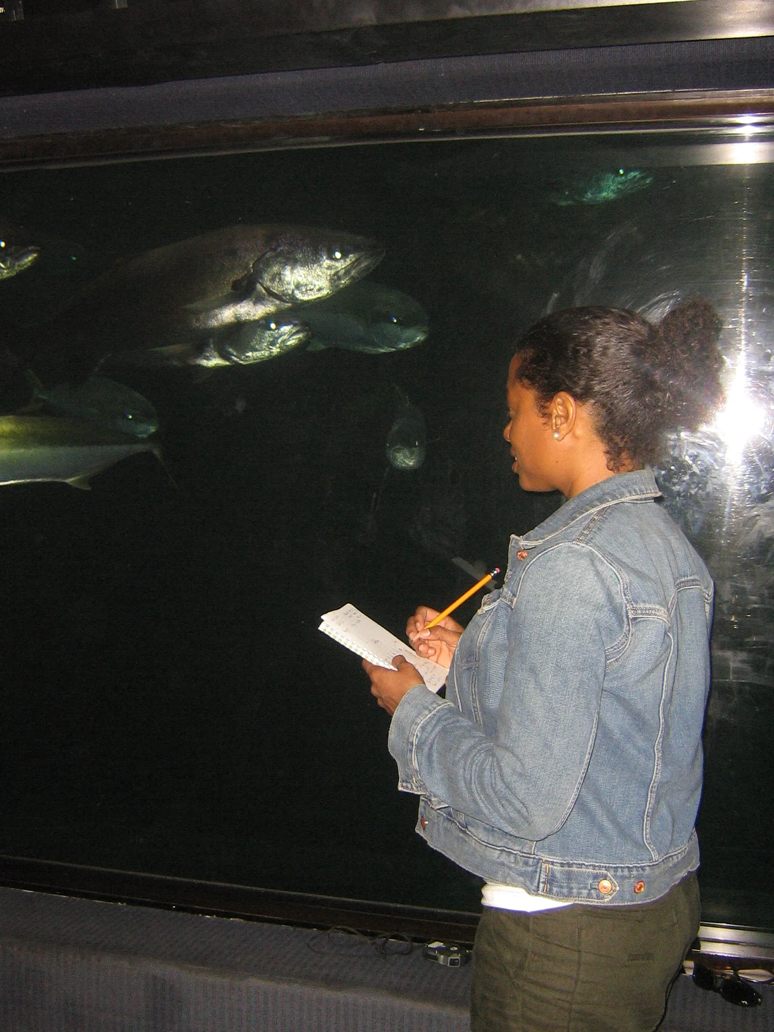 picture of me at sea world.JPG