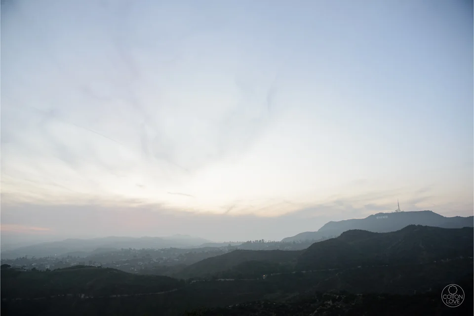 14_SallyAllen_VeniceBeachGriffithObservatory.jpg