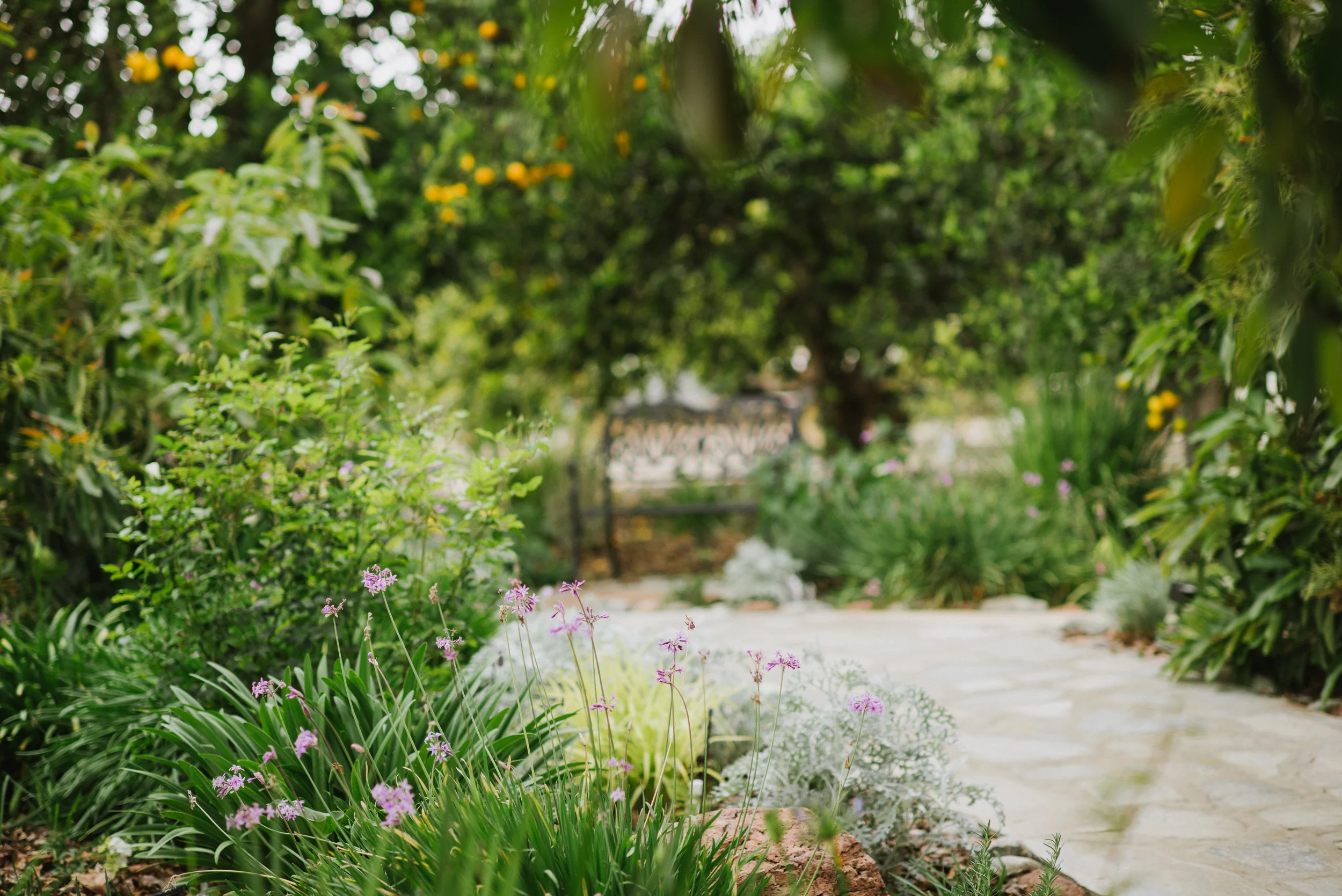 Gerry Ranch, Camarillo | Wedding Highlight Video