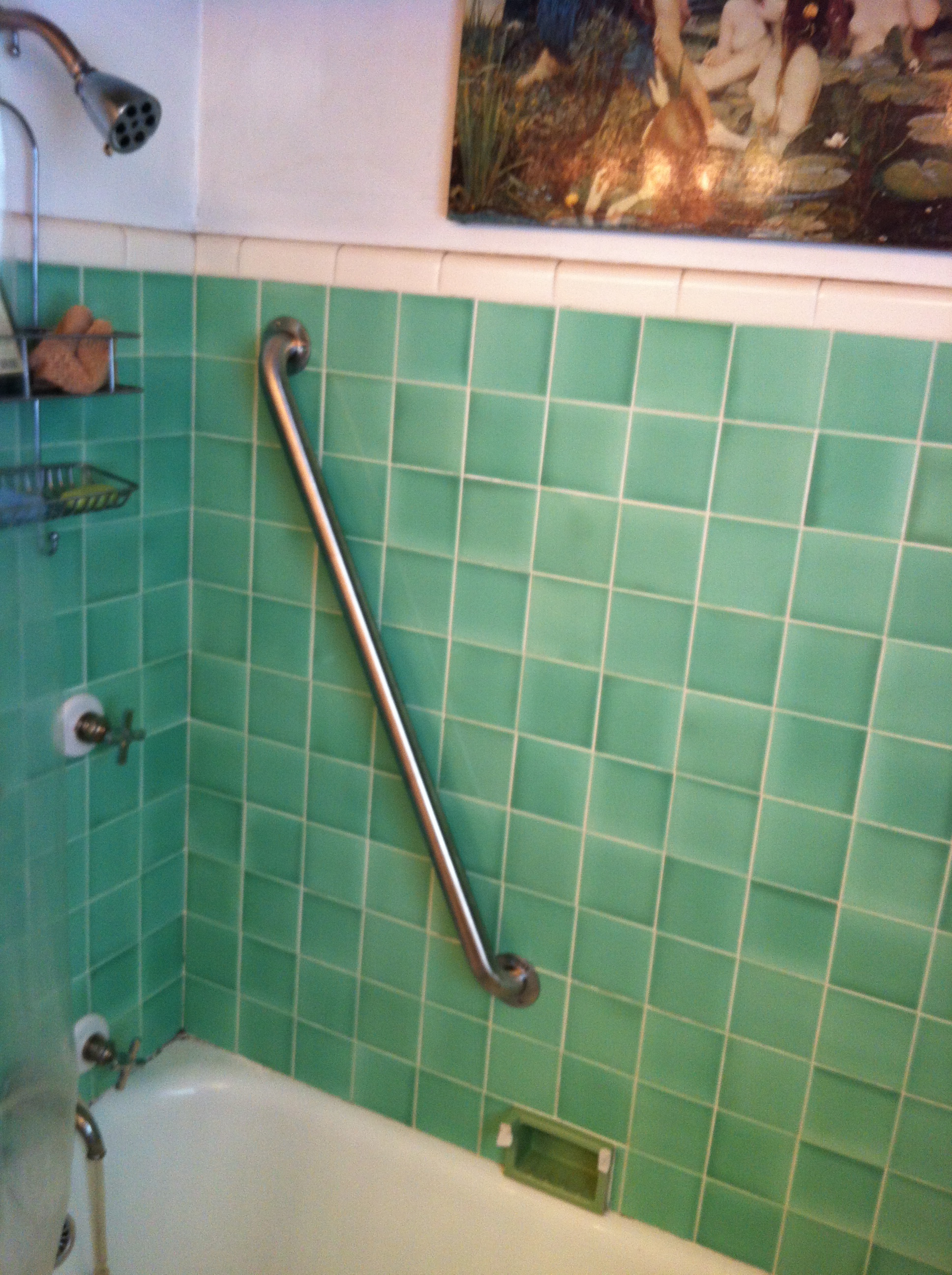 Grab Bar in shower.