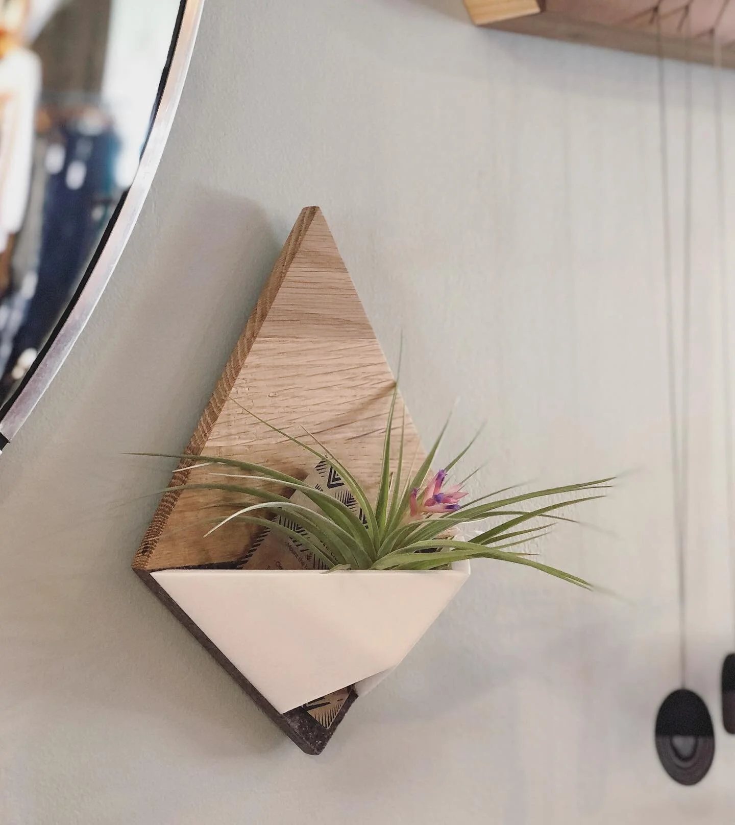 Air Plant Hanger  TIMBER LINE JEWELRY