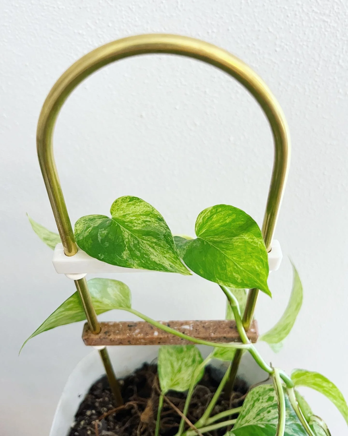 F016784B-D6DF-45D6-8286-3363C12A4795