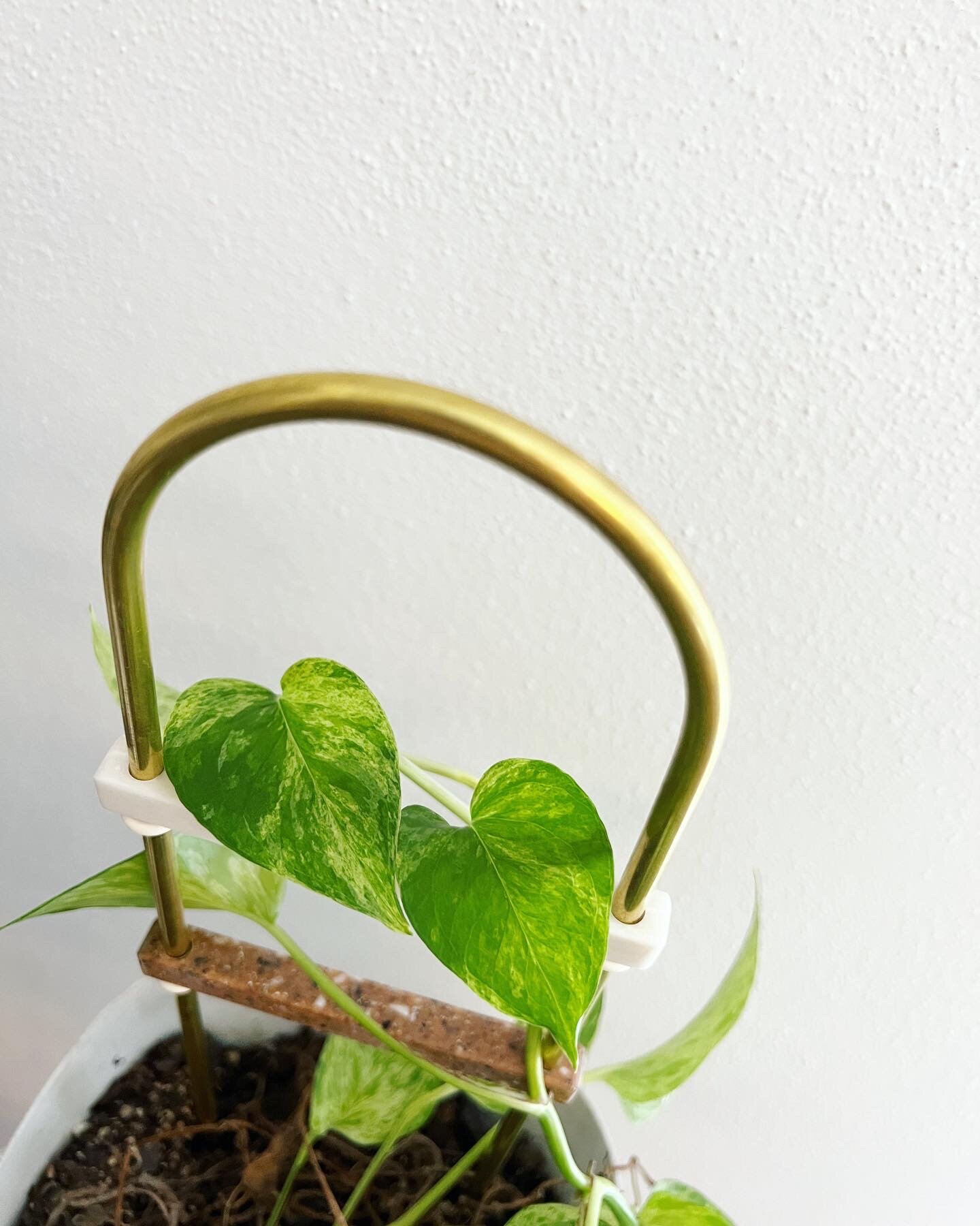 C18E98BF-744A-4A02-9237-616A0B22F3EC