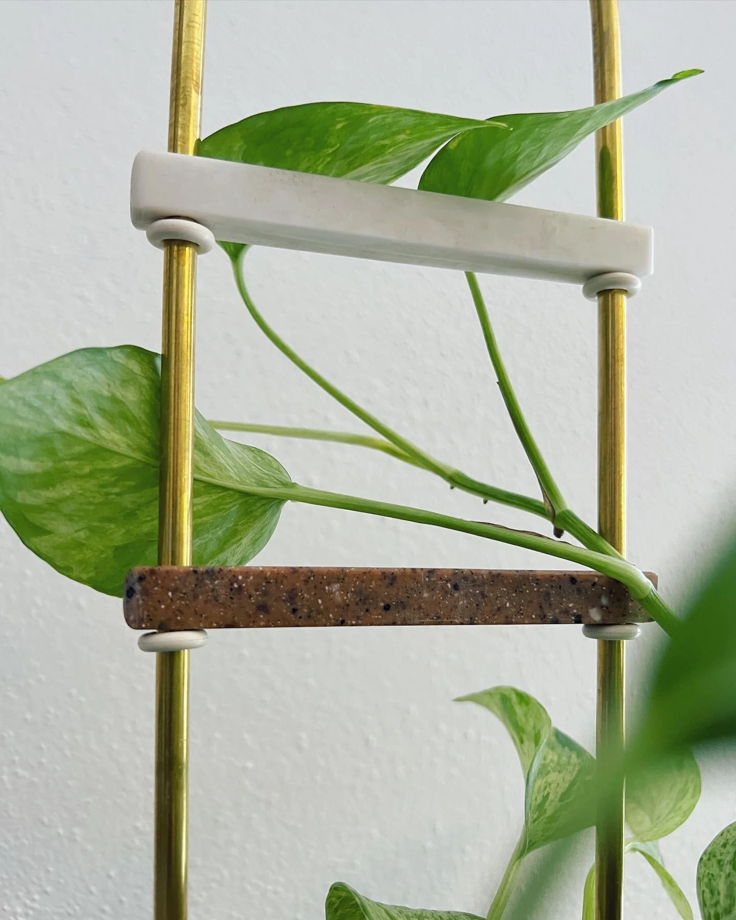 78D3D07C-8571-4B8B-AB8C-9D4F62D29DE5