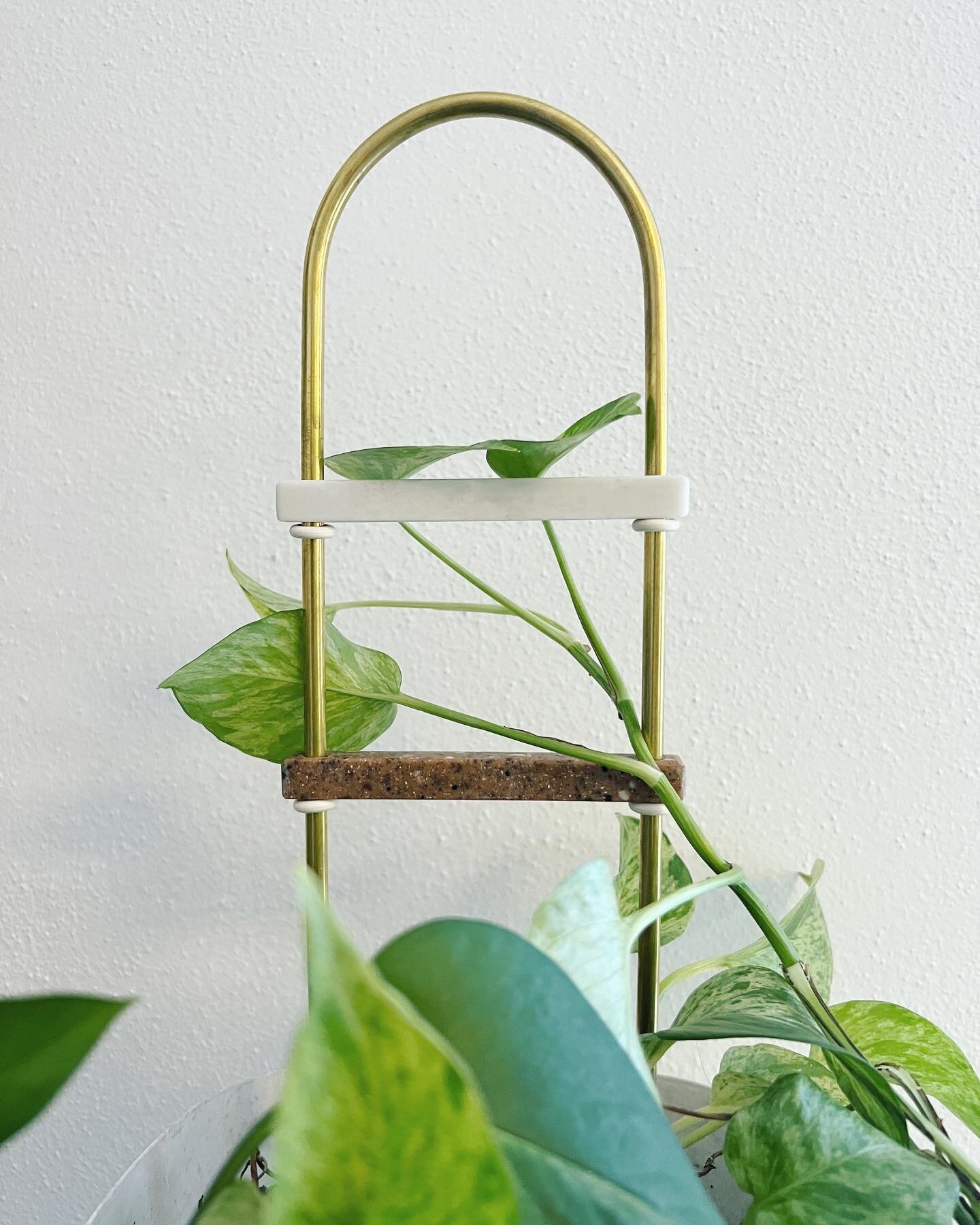 2766AAFD-605F-4850-922E-F38B9AD0F63D