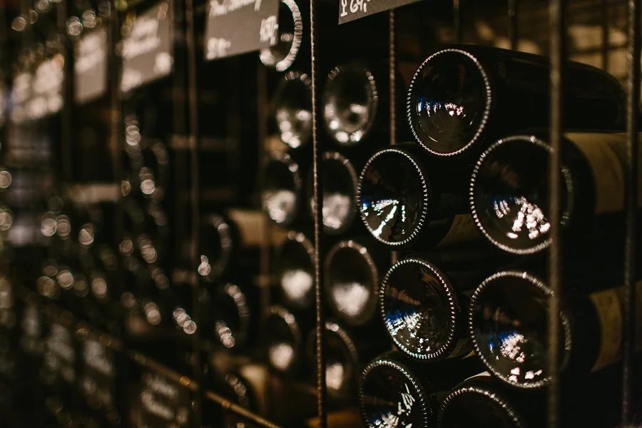 Czech wines in Prague: the bottles you must try