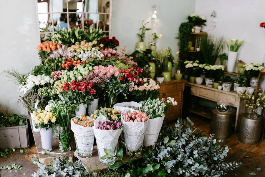 Prague Local Favorites: Metamorposis