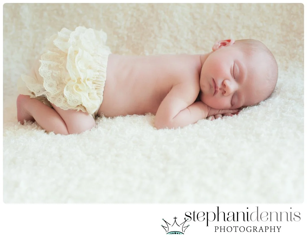 Stephani Dennis Photography