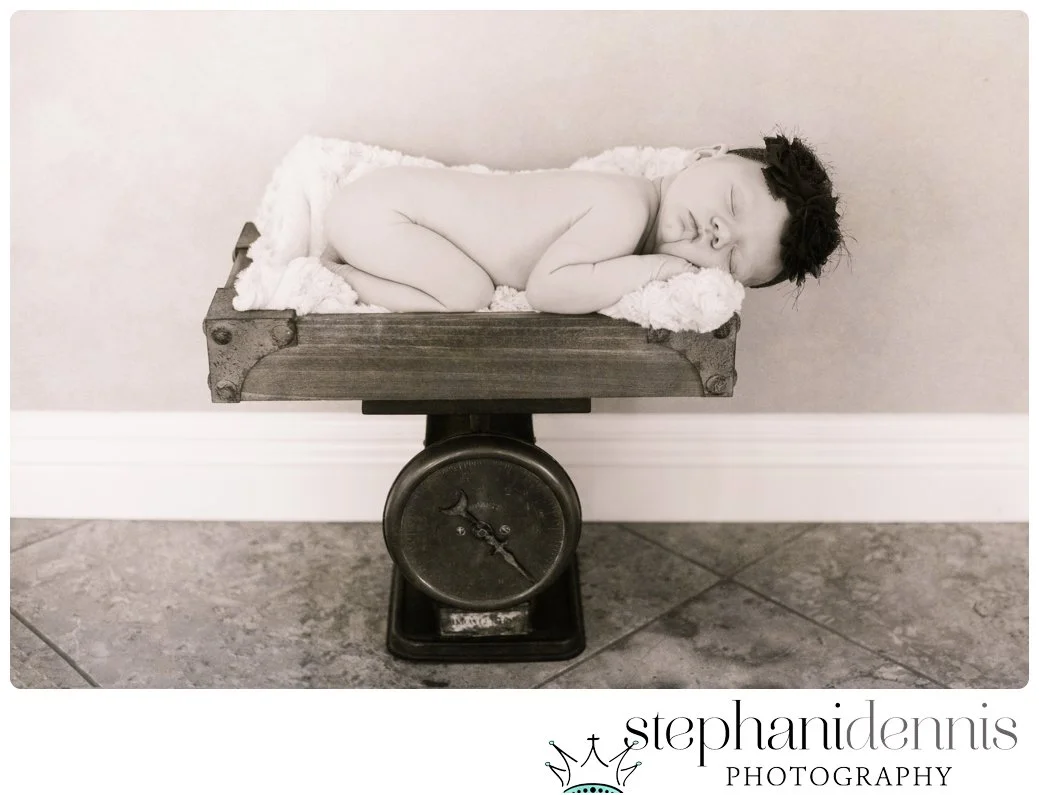 Stephani Dennis Photography