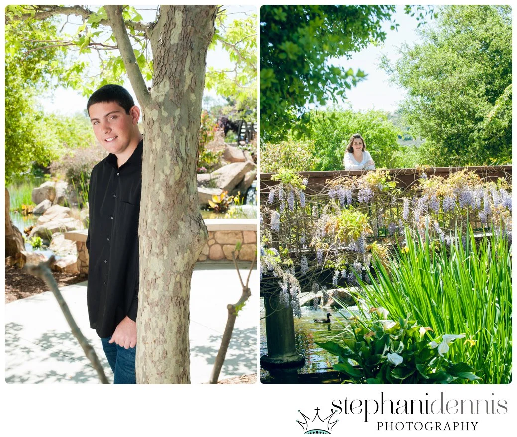 Stephani Dennis Photography