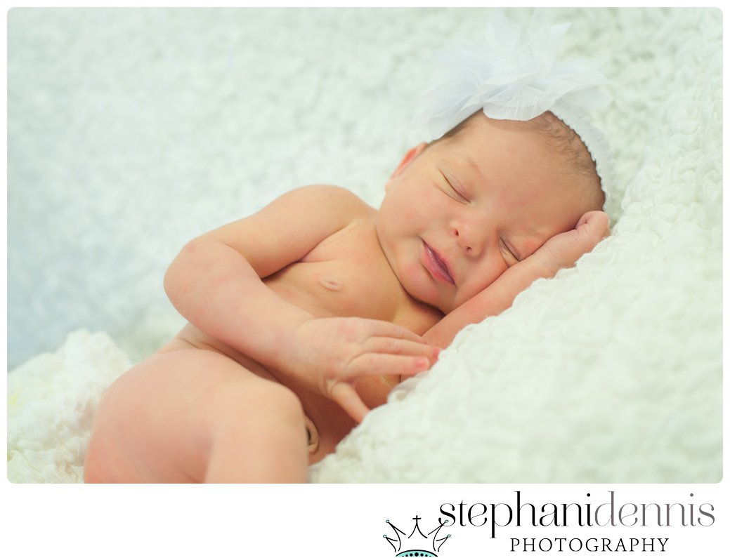 Stephani Dennis Photography