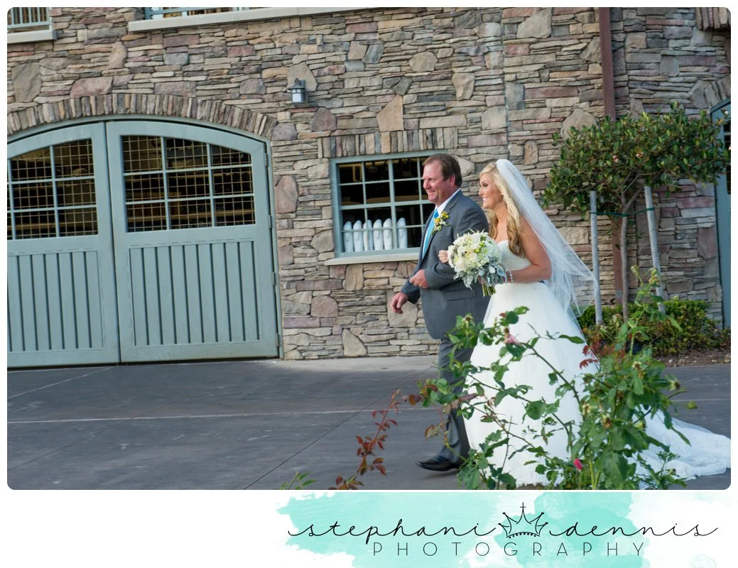 Stephani Dennis Photography