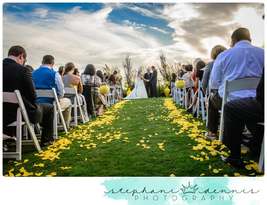 Stephani Dennis Photography
