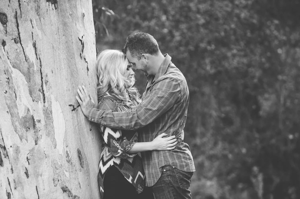 Stephani Dennis Photography