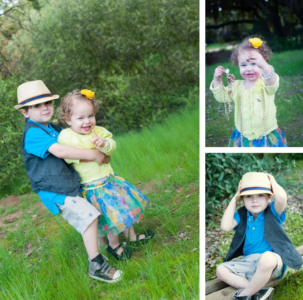 Stephani Dennis Photography