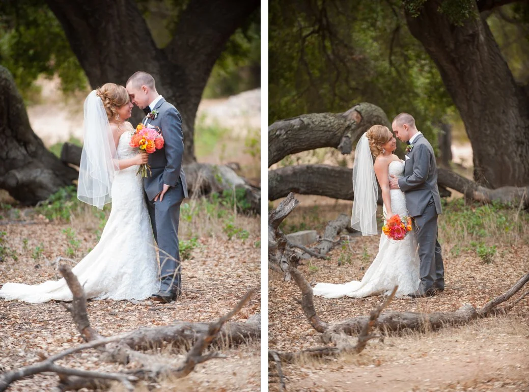 Stephani Dennis Photography