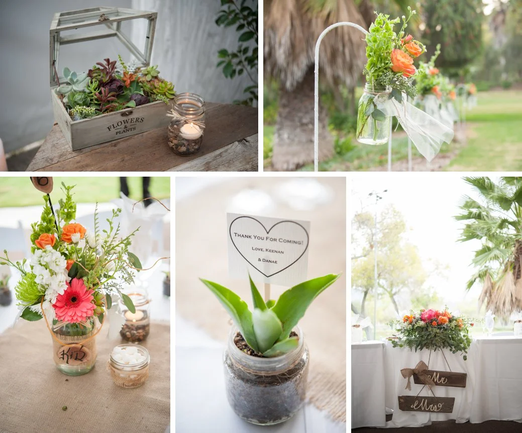 Stephani Dennis Photography